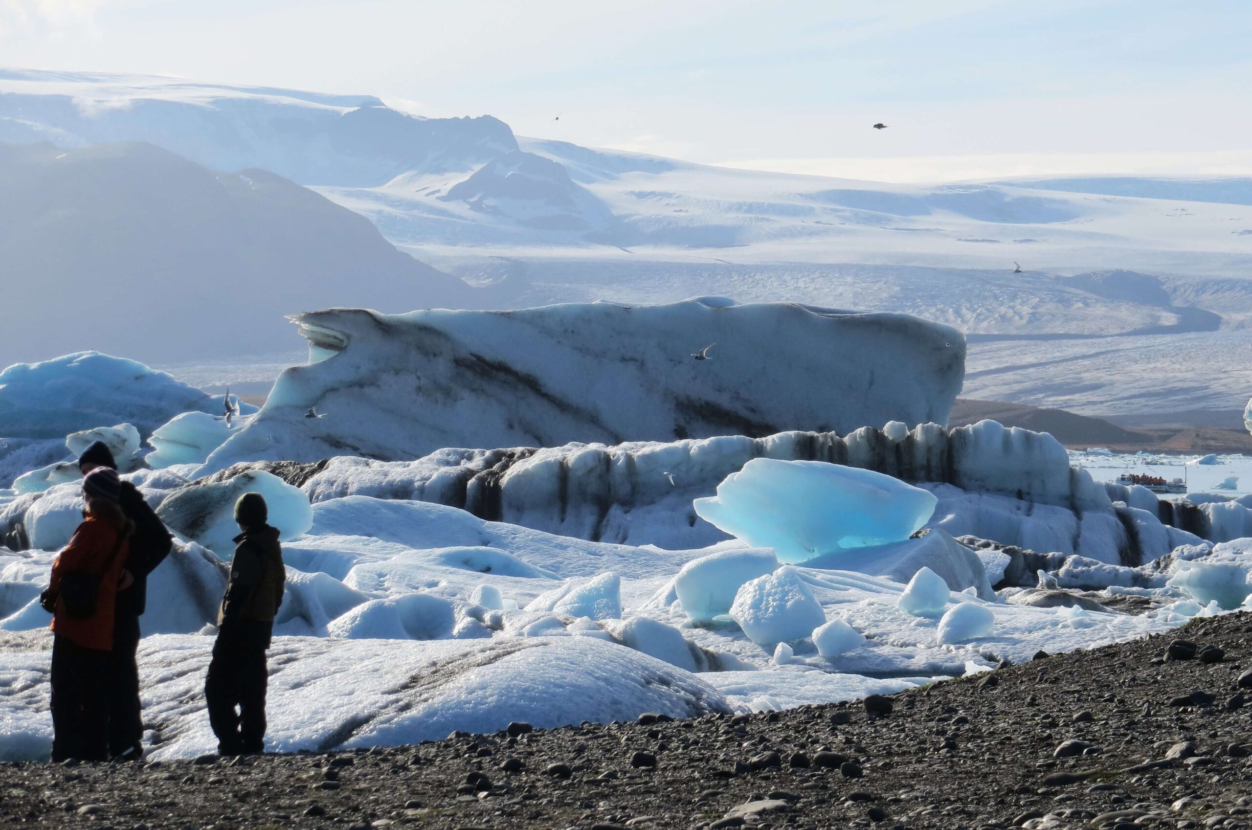 Ledové kry na Islandu