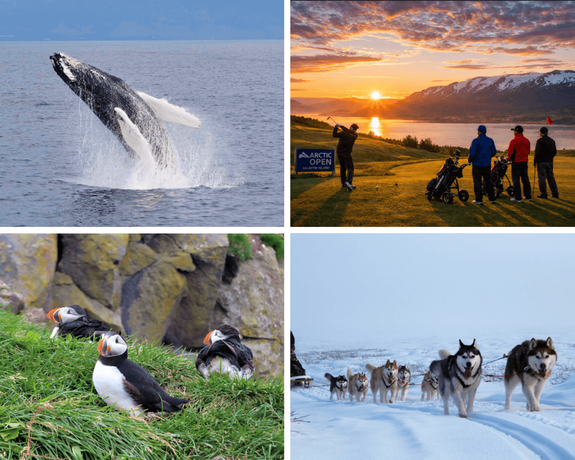 koláž aktivity v Akureyri